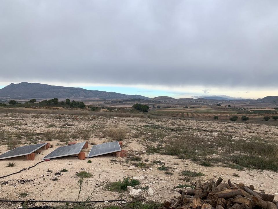 Helårsgrund i Pinoso, Alicante - foto 3